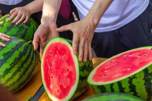 今日吃瓜官网,揭秘娱乐圈最新热点，带你畅游八卦海洋