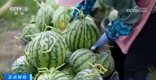 网红大瓜博雅吃瓜视频最全观看,全网最全大瓜盘点，一网打尽网红圈热点